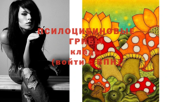 соль ск Аркадак