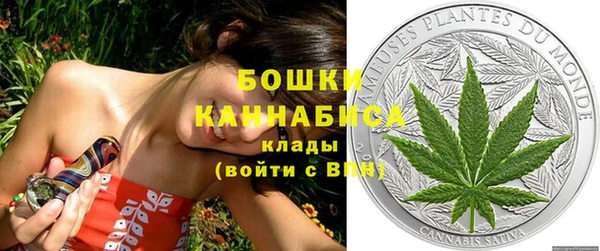твердый Ижевск