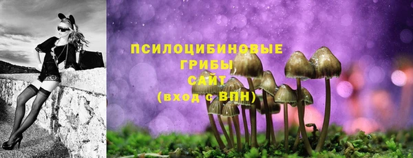 прущие грибы Армянск
